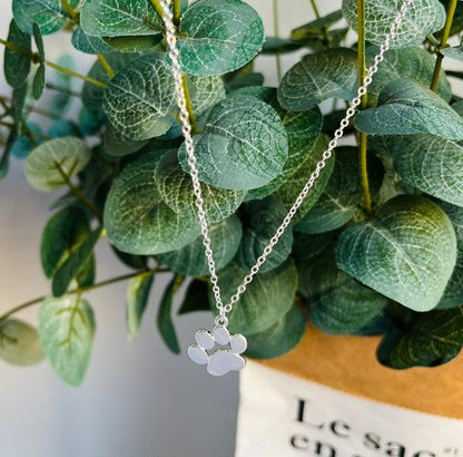Elegante collar con pata en plata – Acero inoxidable