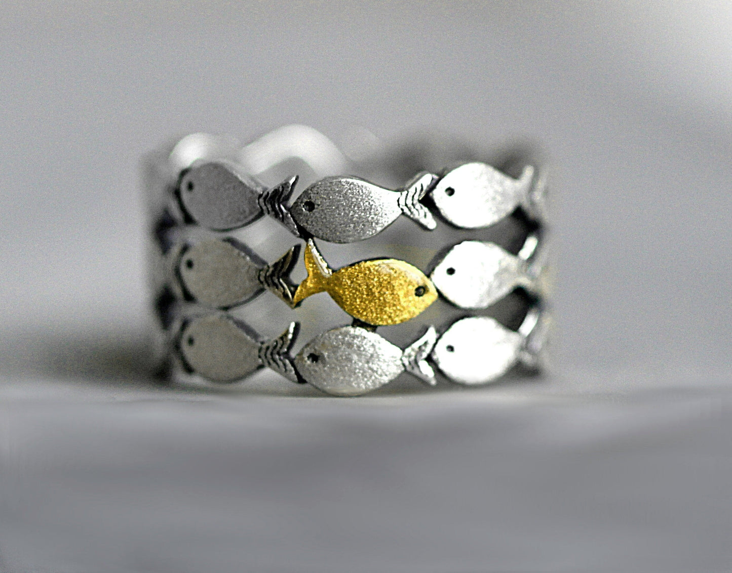 Anillo Contra la Corriente